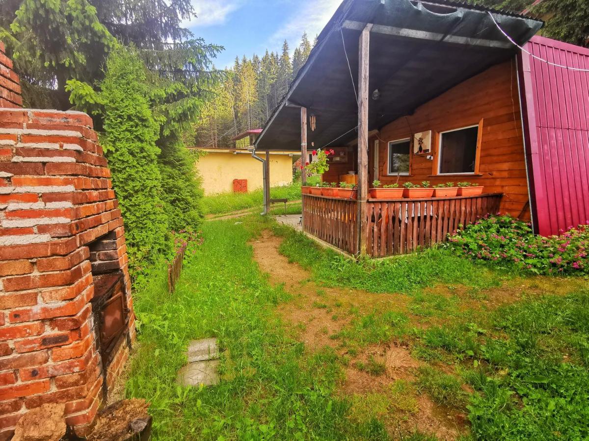 Почивна база Орлино Hotel Сърница Екстериор снимка