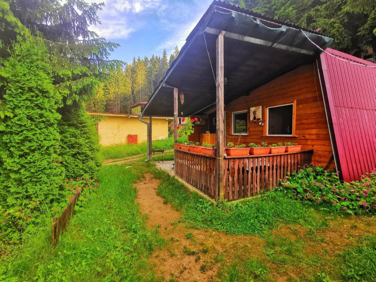 Почивна база Орлино Hotel Сърница Екстериор снимка