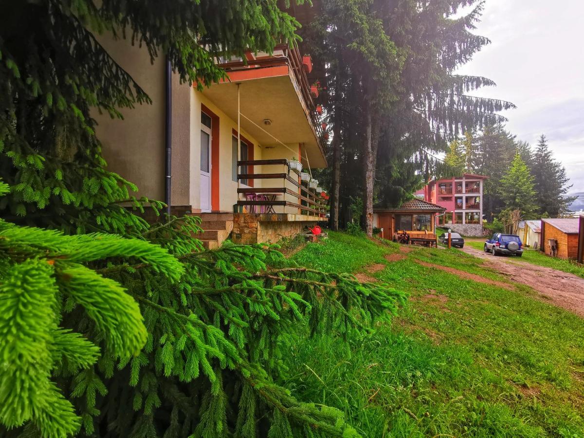 Почивна база Орлино Hotel Сърница Екстериор снимка