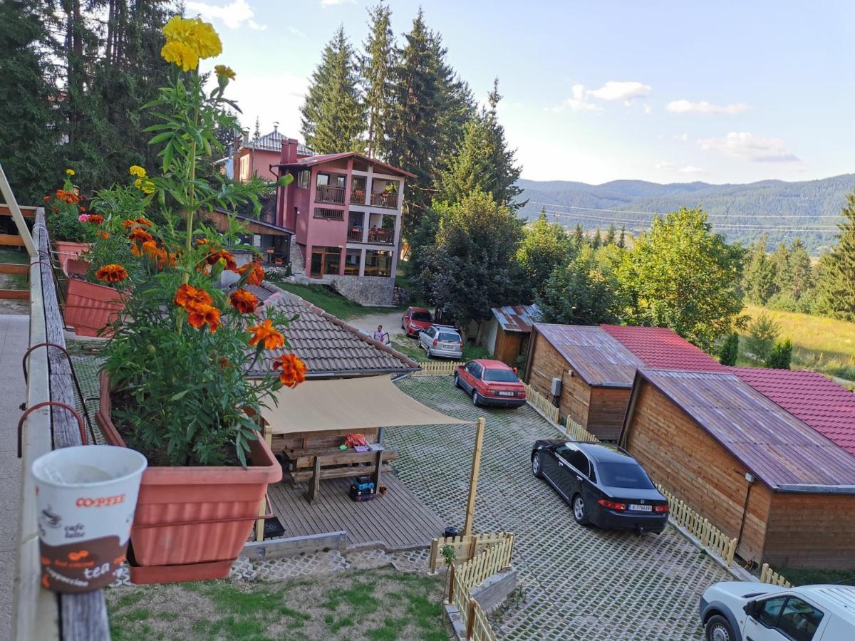 Почивна база Орлино Hotel Сърница Екстериор снимка